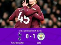 九游娱乐官网入口-关于阿森纳逆袭成功，英超战局再起波澜的信息