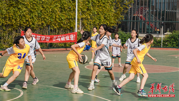 小学篮球联赛揭幕，学子们热情参与